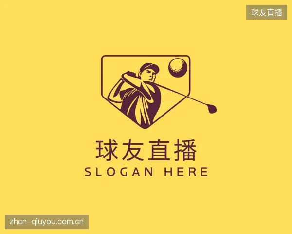 关于球友直播公司